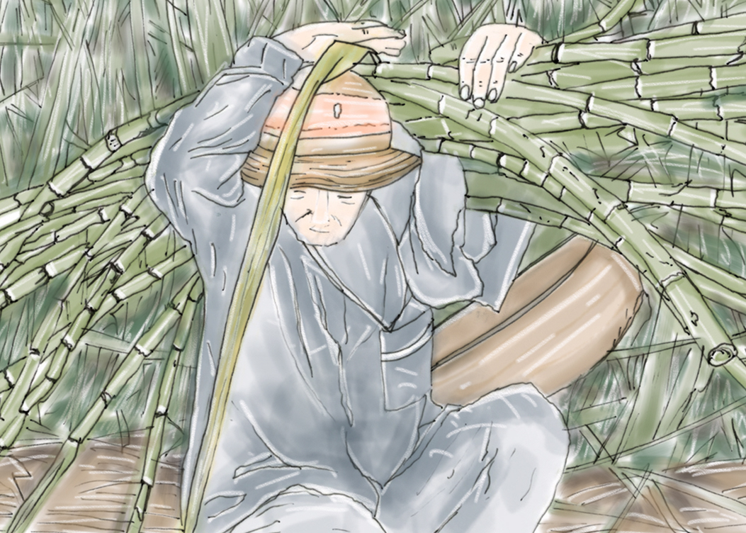 Bianca Galimberti - Person who collects in bamboo in a forest. (Sketch)