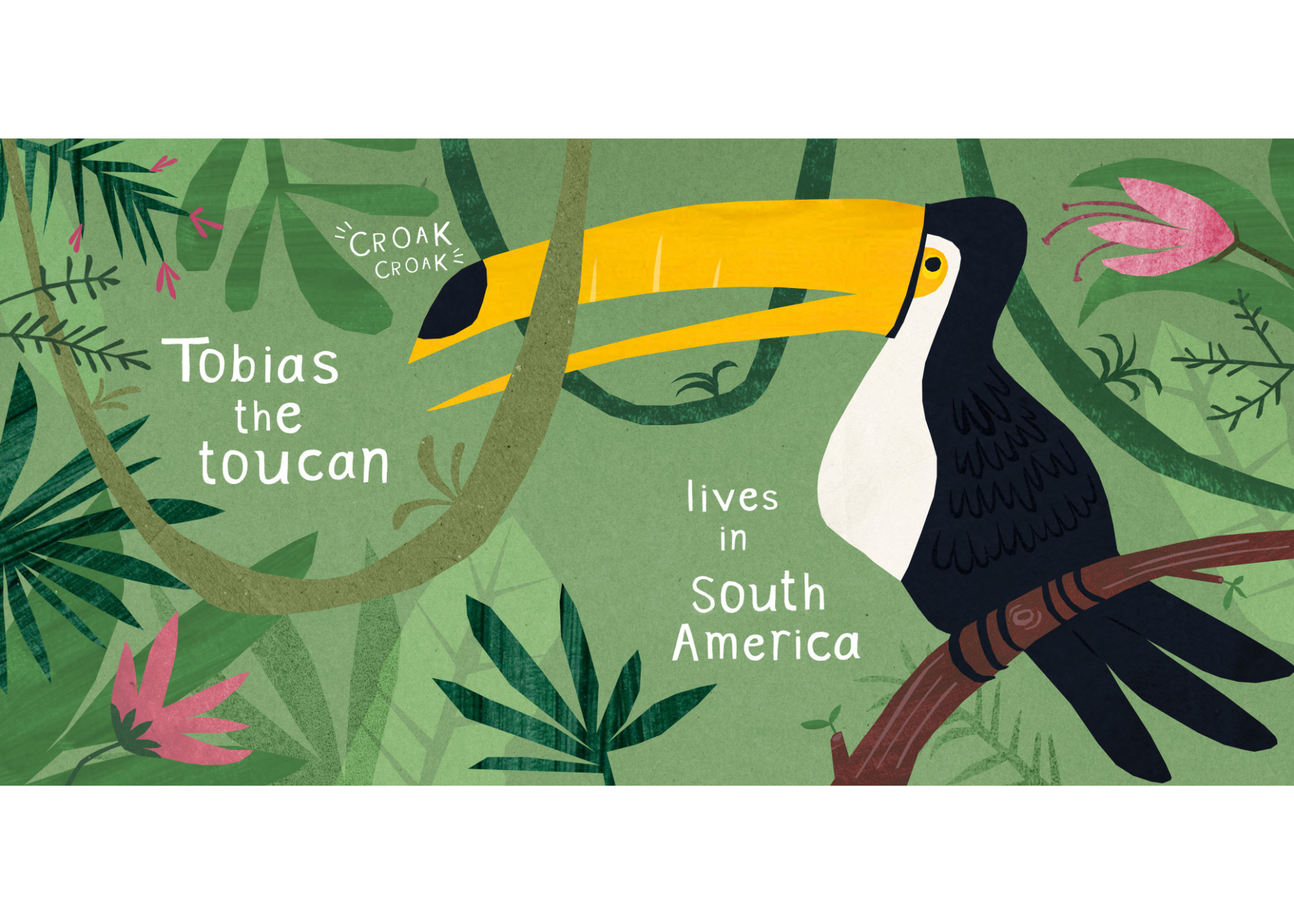 A board book for children on the theme of birds around the world. Anna Norman.