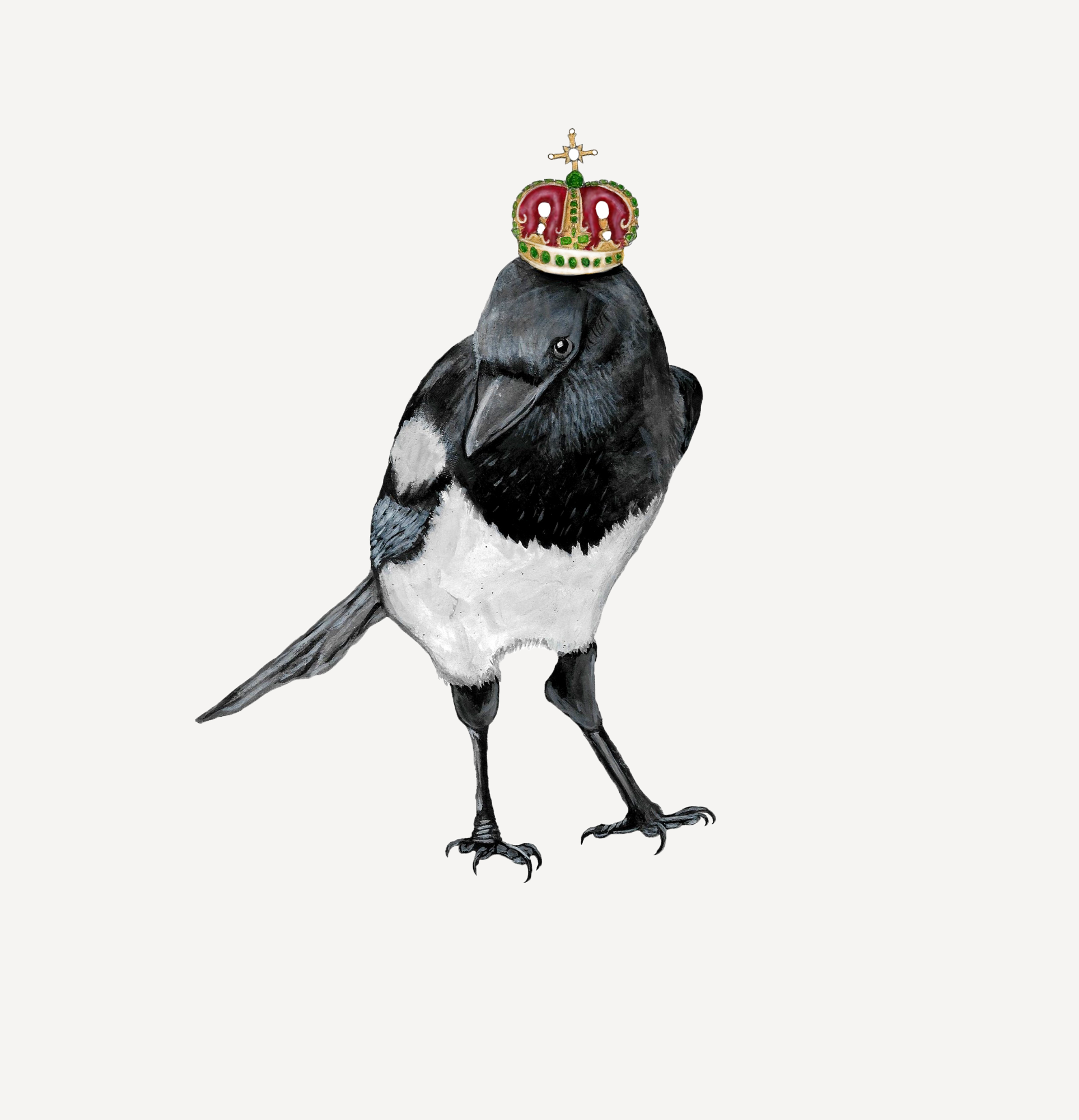 Cambridge Magpie - logo of the magpie