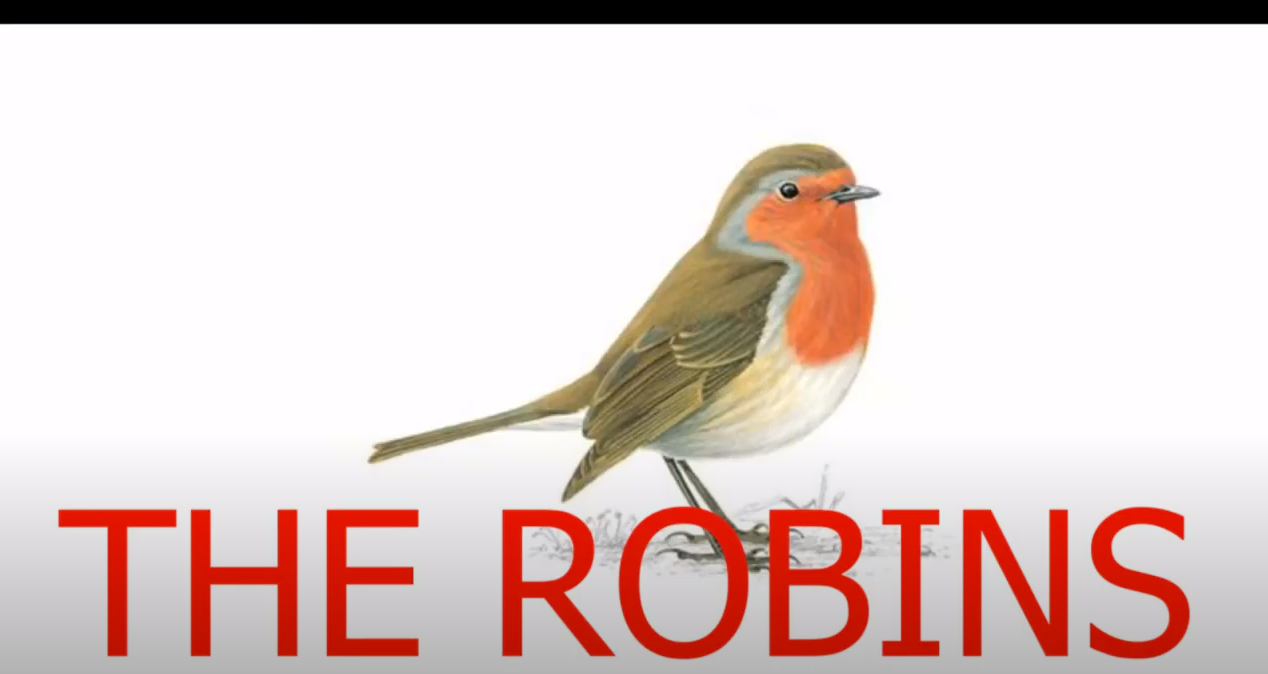 The Robins: Episode 3- Couples And Thieves