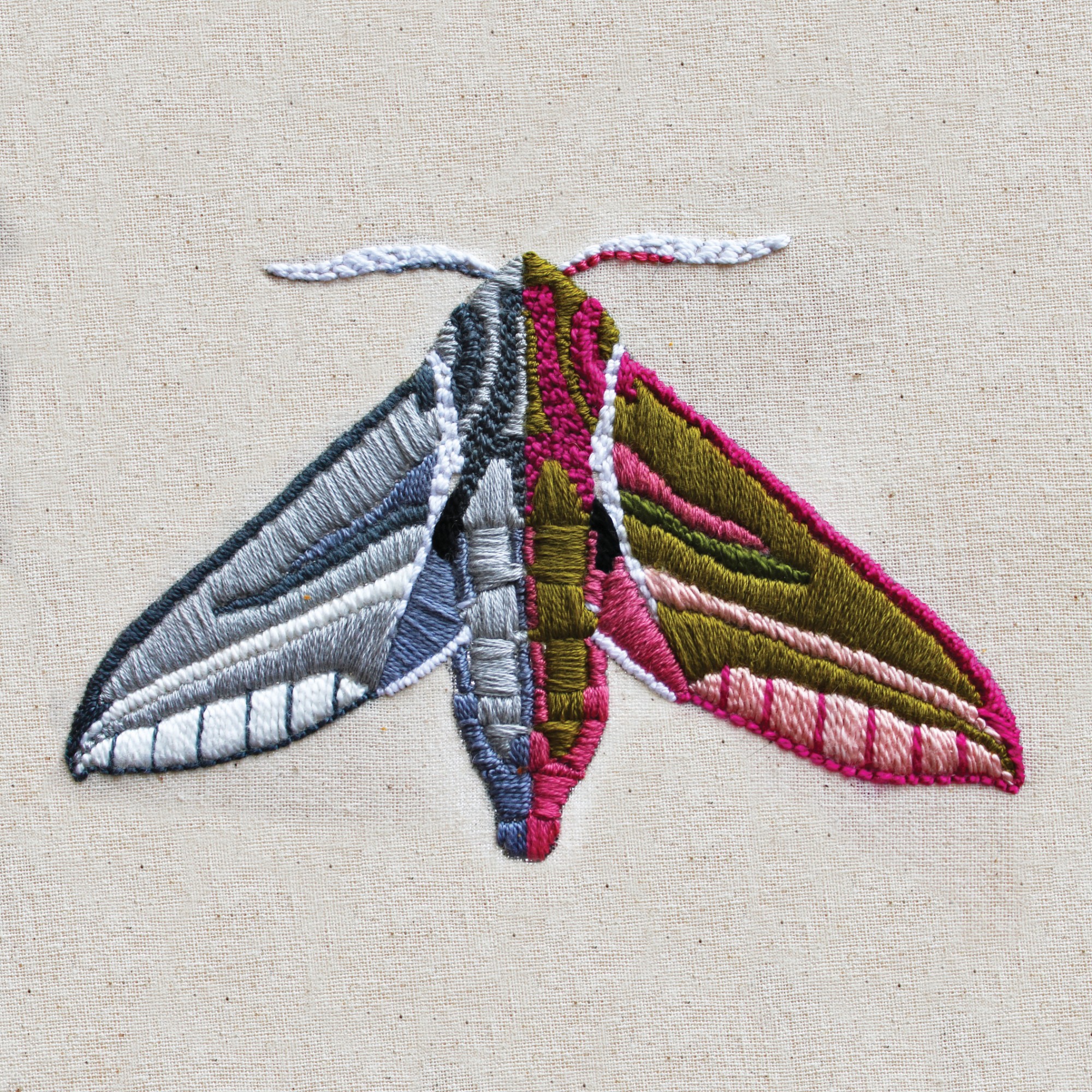 This Elephant Hawk Moth is one of a set of moths I embroidered, half in colour and half in black and white which were inspired by a case study from the book, The Man Who Mistook His Wife for A Hat by Oliver Sacks.