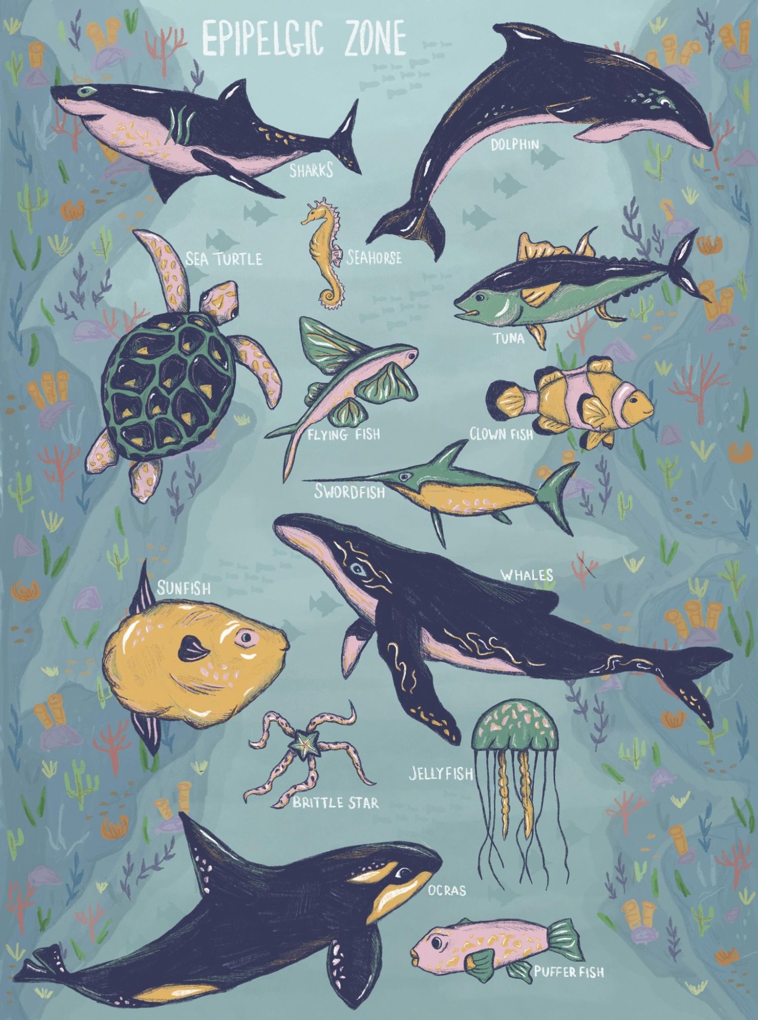 Digital poster design showing our sea life