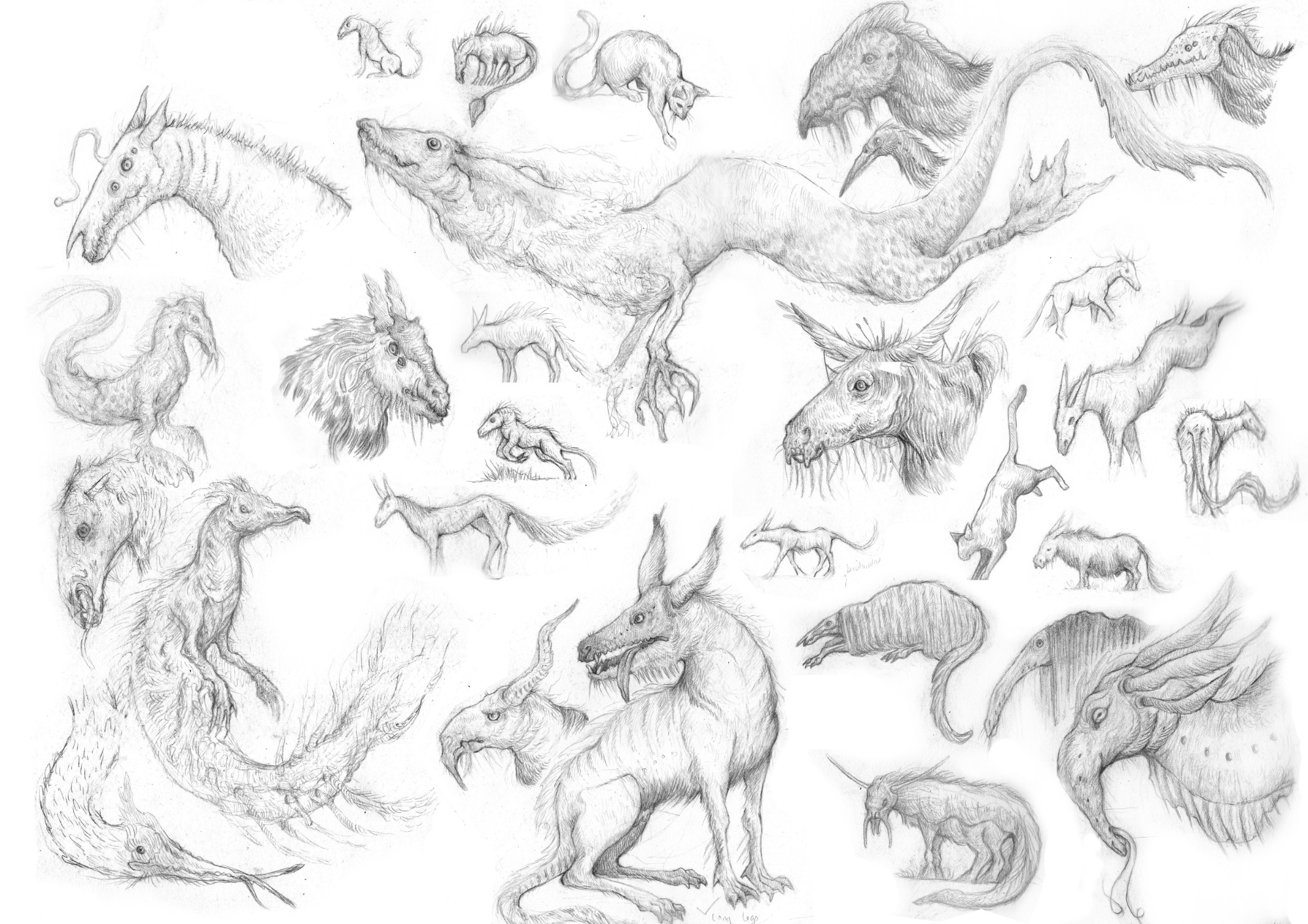 Early thumbnail concepts for a bestiary of fenland creatures. Graphite pencil.