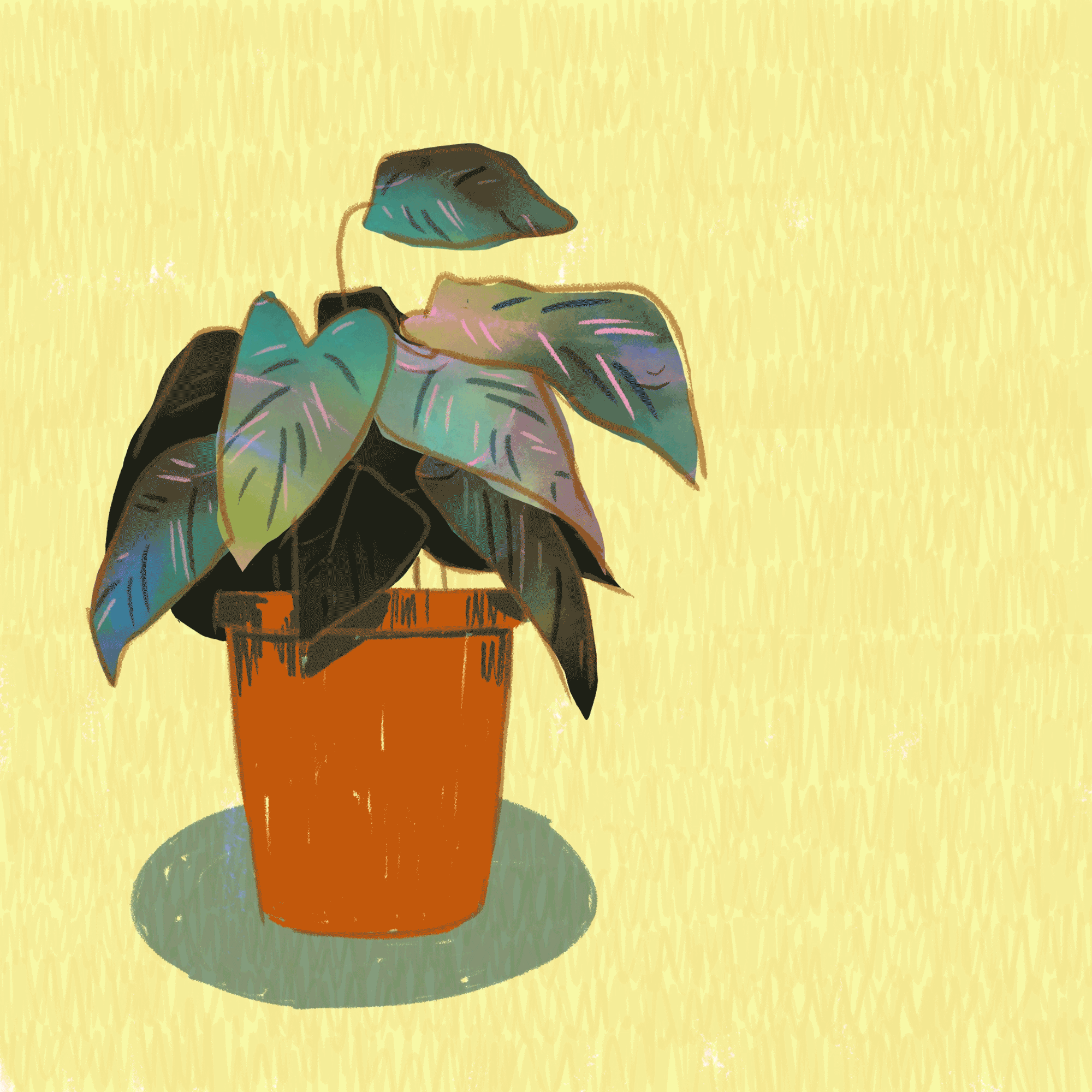 Moving illustration created for a self-initiated brief for an article about the "Benefits of House Plants".