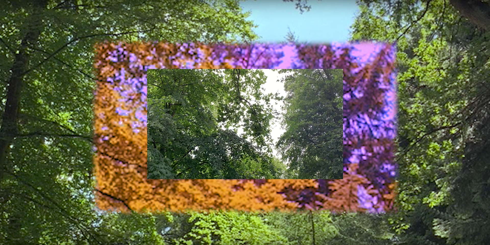 Between Worlds: INSIDE-OUTSIDE. The video projected during the installation at the MA show in September 2021.