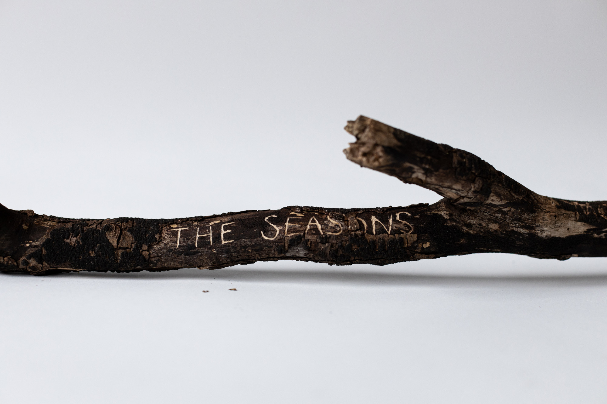 'The Seasons Move on Without You, Maybe I Should Too'. Hand carved poetry branch, a lament to my father, 2021.