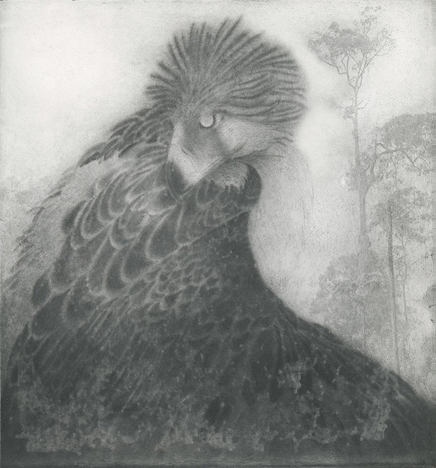 Philippine Eagle. Photo-polymer print, 2021.