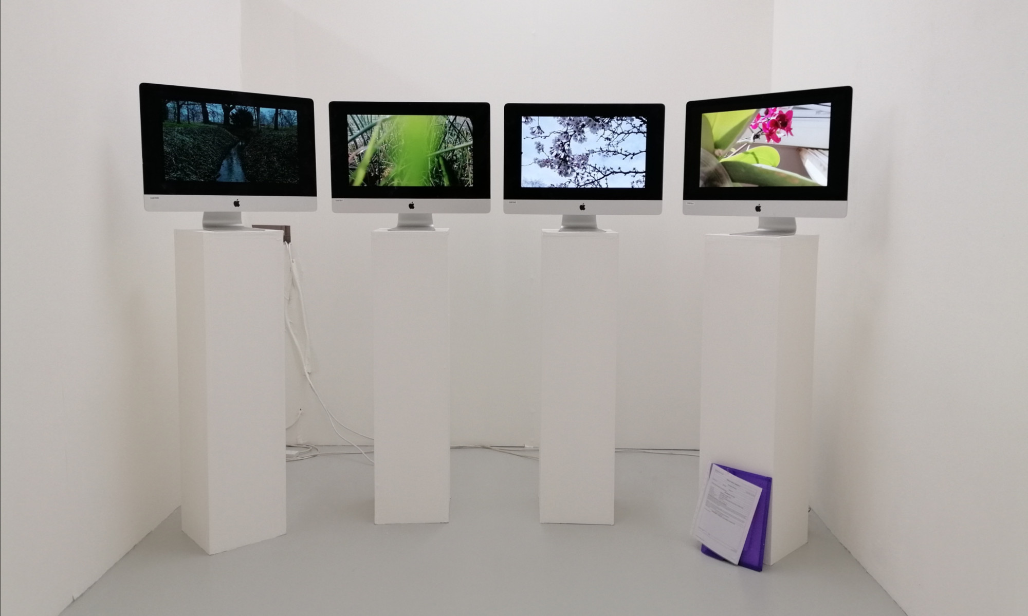 My Diary. Video installation on iMac Screens. Photo of the installation (2022).