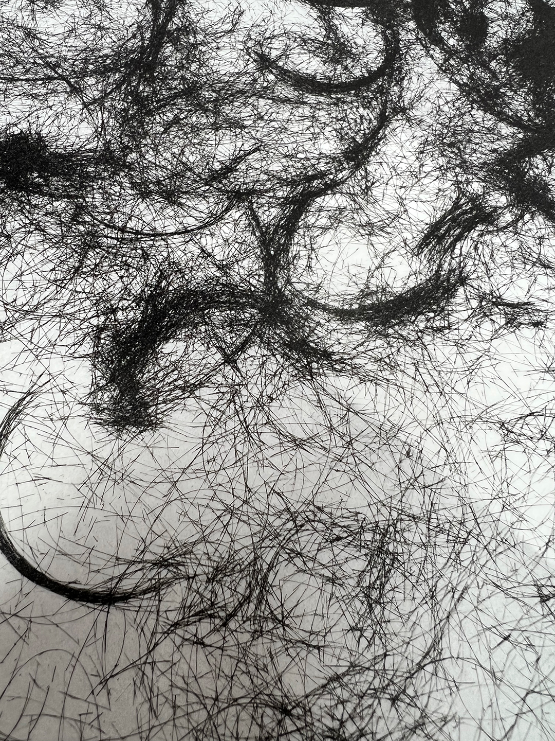 Hair Portrait (Detail), plate lithography, 2022