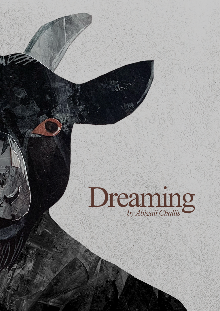 ‘Dreaming’. The cover of my illustrated booklet, ‘Dreaming.’