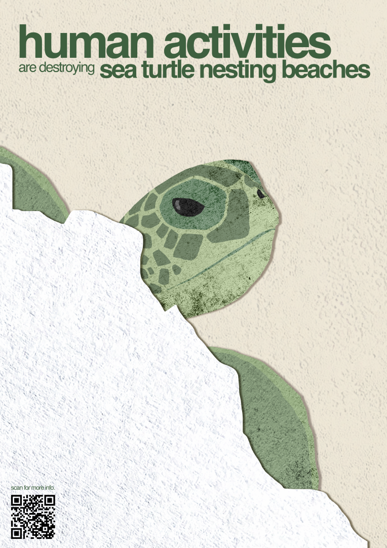 ‘Endangered Sea Turtles’. One of 3 posters raising awareness for the reasons behind sea turtle endangerment.