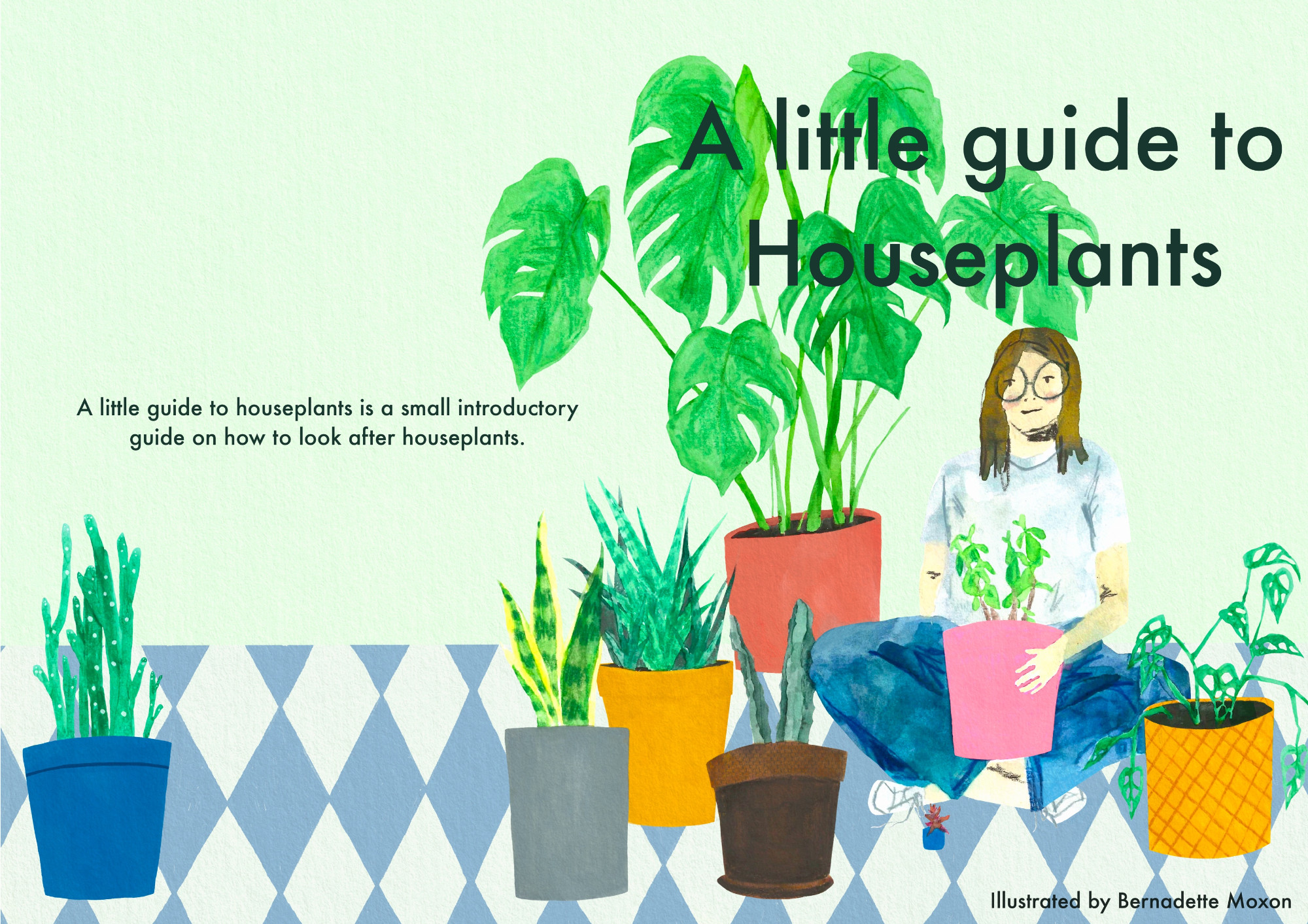 The cover for my final project ‘a little guide to Houseplants’.